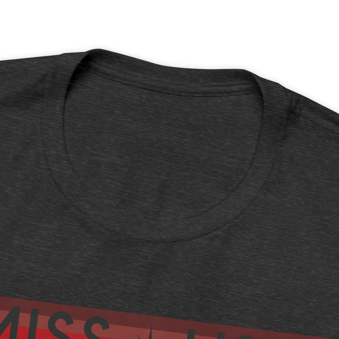 Colorblock Traditional Logo T-Shirt - Miss Texas USA